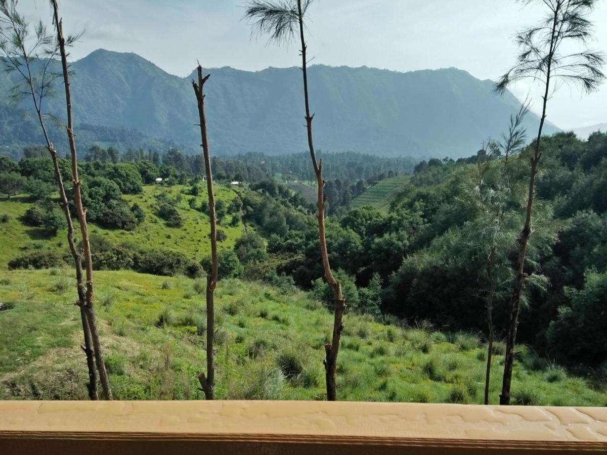 Lava View Lodge Bromo Eksteriør bilde